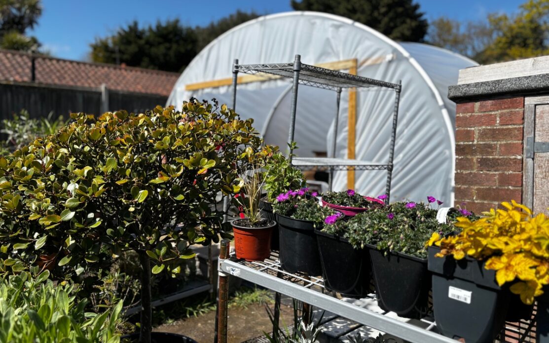 The propagation area at Potters Resorts Hopton-on-Sea